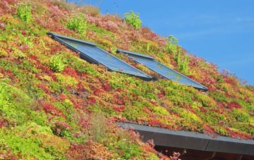 Coedway living roof systems