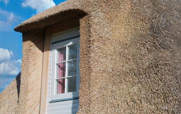 Coedway thatch roof disadvantages