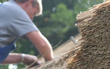 professional Coedway thatchers